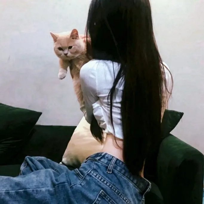 怪事屋第二季